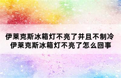 伊莱克斯冰箱灯不亮了并且不制冷 伊莱克斯冰箱灯不亮了怎么回事